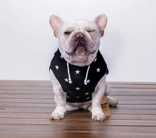 Stars Hoodie French Bulldog Costume