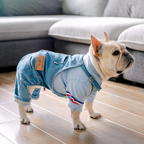 Denim Overalls Costume for French Bulldogs