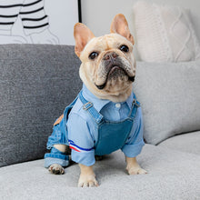 Load image into Gallery viewer, Denim Overalls Costume for French Bulldogs