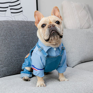 Denim Overalls Costume for French Bulldogs