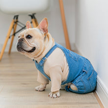 Load image into Gallery viewer, Denim Overalls Costume for French Bulldogs