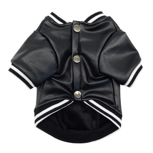 French Bulldog Leather Jacket Costume