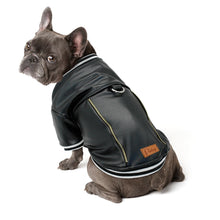 Load image into Gallery viewer, French Bulldog Leather Jacket Costume