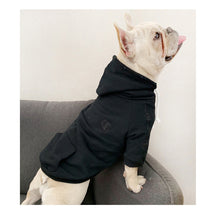 Load image into Gallery viewer, French Bulldog Cotton Hoodie Costume