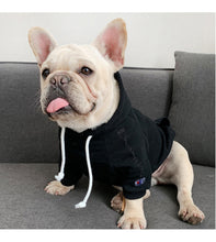 Load image into Gallery viewer, French Bulldog Cotton Hoodie Costume