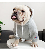 Load image into Gallery viewer, French Bulldog Cotton Hoodie Costume