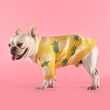 Load image into Gallery viewer, French Bulldog Pineapple Print Knitted Sweater Costume