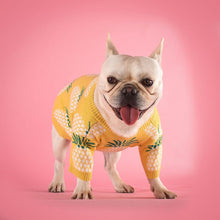 Load image into Gallery viewer, French Bulldog Pineapple Print Knitted Sweater Costume