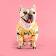 Load image into Gallery viewer, French Bulldog Pineapple Print Knitted Sweater Costume