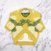 Load image into Gallery viewer, French Bulldog Pineapple Print Knitted Sweater Costume