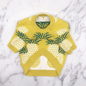 French Bulldog Pineapple Print Knitted Sweater Costume