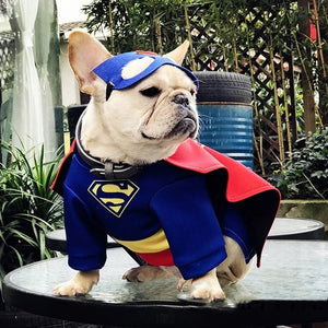 French Bulldog Super Hero Superman Costume