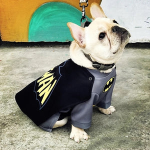 French Bulldog Super Hero Batman Costume