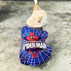 French Bulldog Spider Man Costume