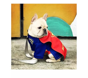 French Bulldog Super Hero Superman Costume