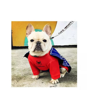 French Bulldog Spider Man Costume