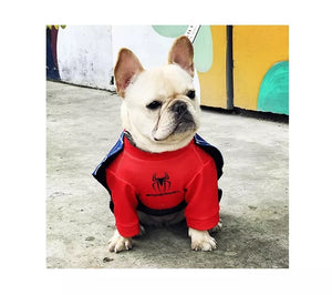 French Bulldog Spider Man Costume