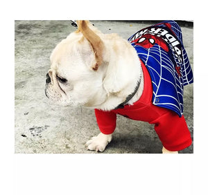 French Bulldog Spider Man Costume