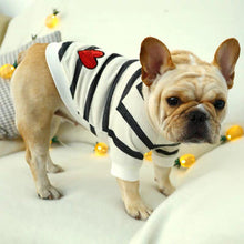 Load image into Gallery viewer, Black and white striped Sweater French bulldog costume