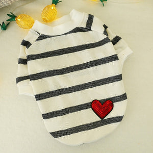 Black and white striped Sweater French bulldog costume