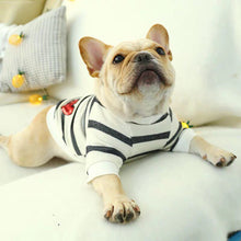 Load image into Gallery viewer, Black and white striped Sweater French bulldog costume