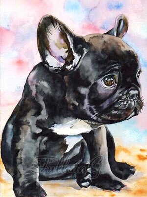 5D DIY Diamond Painting Colourful French Bulldog