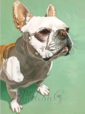 5D DIY Diamond Painting Colourful French Bulldog