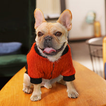 Load image into Gallery viewer, Soft Cotton Costume Hoodie For French Bulldogs