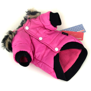 Winter Dogs Down Jacket French Bulldog Costume