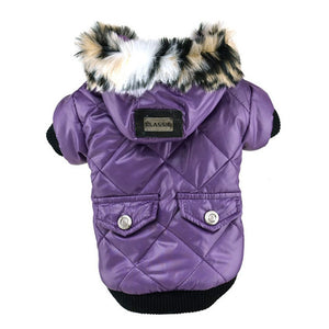 Winter Dogs Down Jacket French Bulldog Costume