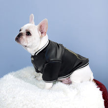 Load image into Gallery viewer, French Bulldog Leather Jacket Costume