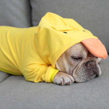 Load image into Gallery viewer, French Bulldog Duck Costume Quack Quack