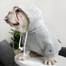 Load image into Gallery viewer, French Bulldog Cotton Hoodie Costume