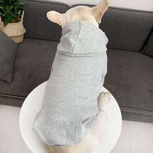 French Bulldog Cotton Hoodie Costume